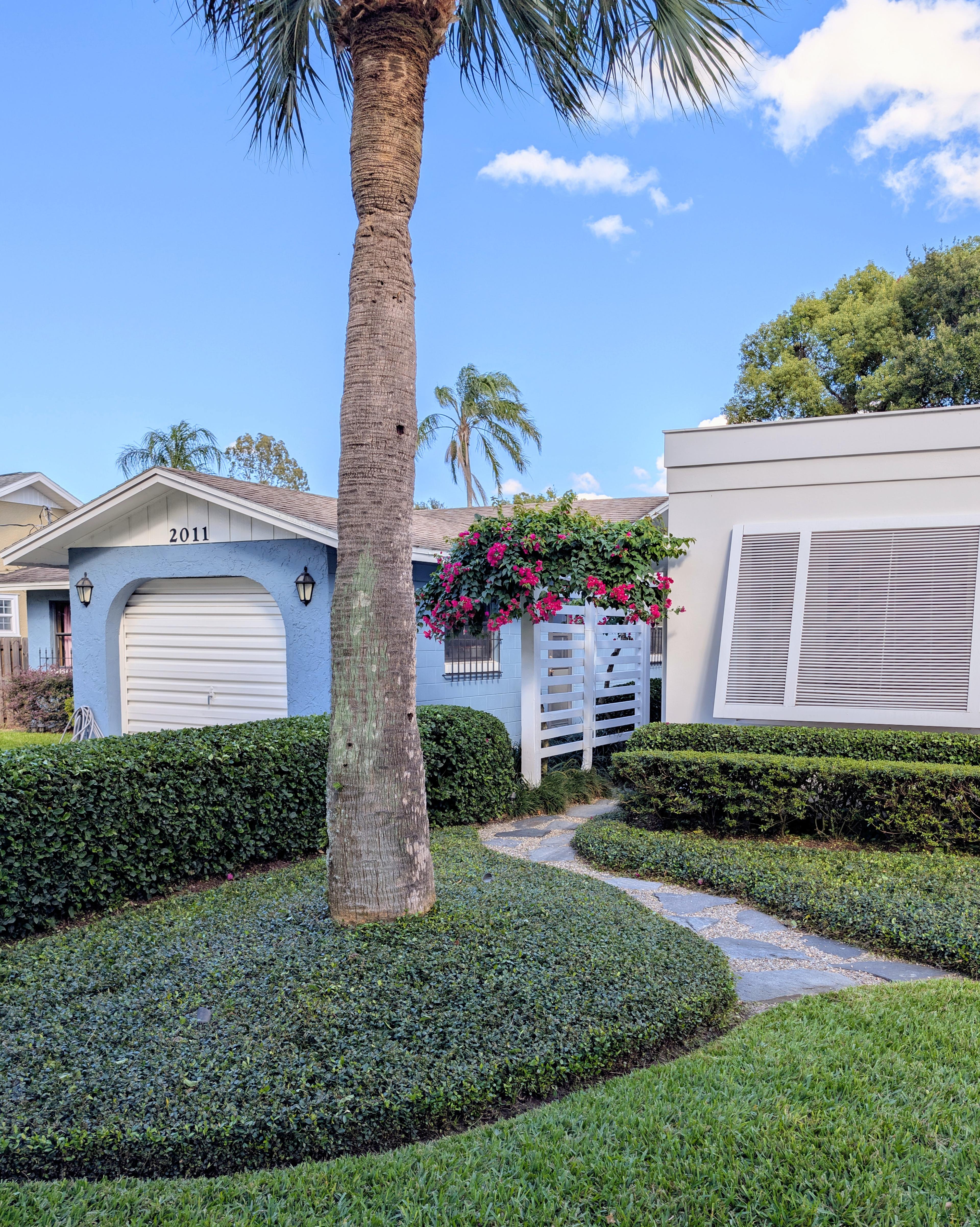 Expert hedge trimming, palm tree care, and stone pathway landscaping in College Park, Florida